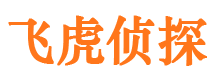 坡头市调查公司